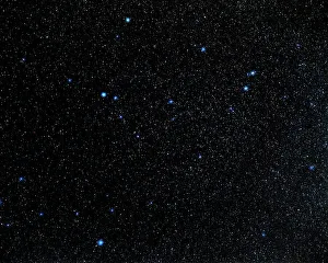 Zodiacal Constellations Prints: Capricornus constellation
