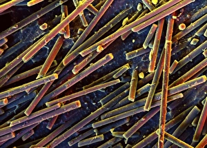 Carbon nanotubes in POM matrix, SEM C016/8042 Carbon nanotubes in POM matrix, SEM C016/8042