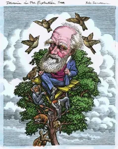 Caricature Prints: Charles Darwin in his evolutionary tree Print