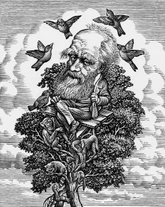 Charles Darwin in his evolutionary tree Print