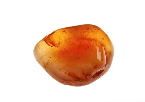 Mineral Specimen Photography Prints: Carnelian