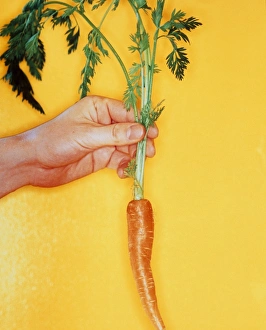 Carrot Nutrition Prints: Carrot