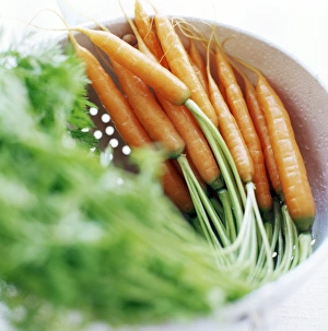 Root Vegetable Images Prints: Carrots