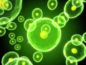 Cell Biology Prints: Cells, conceptual computer artwork