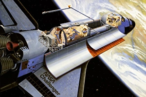 Prints of Challenger space shuttle. Artwork of Spacelab (D- 1) in the Challenger space shuttle, flight STS- 61A, which was launched on October 30, 1985. This flight was the Challengers last successful flight Images Dated 2004 March: Challenger Space Shuttle with Spacelab D-1 Print