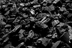 Images Dated 23rd June 2010: Lump Charcoal Print