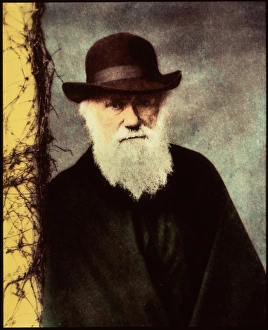 Charles Darwin Charles Darwin