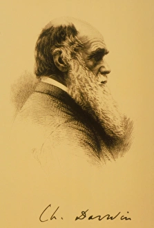 Charles Darwin Portrait Prints: Charles Robert Darwin