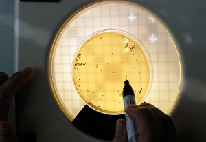 Images Dated 10th January 2013: Milk Safety Check Print