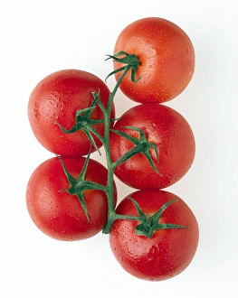 Vine Ripened Tomatoes Prints: Cherry tomatoes