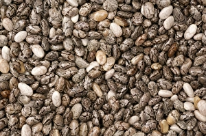 Chia Seeds Prints: Chia seeds
