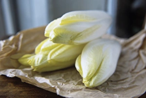 Flowering Plant Pictures Prints: Chicory
