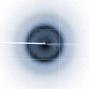 Electron Microscopy Images Prints: Chikungunya virus diffraction pattern