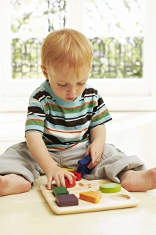 Childhood Development Stages Prints: Childhood development