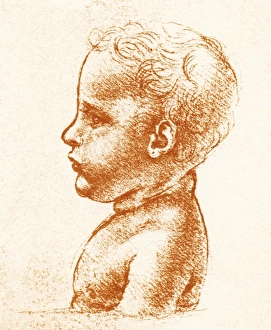 Italian Art 15th Century Prints: Childs head