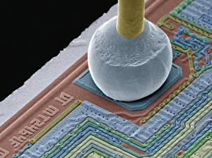 Images Dated 5th June 2008: SEM Chip Connector Print: Soldered Terminal Pad