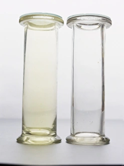 Images Dated 14th September 2004: Chlorine and Oxygen Gas Print