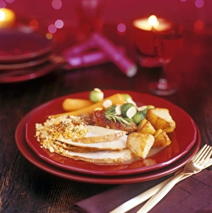 Christmas dinner print featuring roast turkey and vegetables