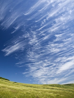 High Altitude Clouds Prints: Cirrus clouds