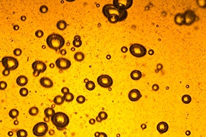 Images Dated 20th July 2008: Cola Soft Drink Print - Carbonated Beverage