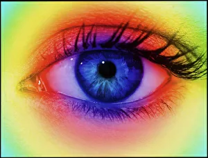 Colour vision: spectrum of light and human eye Colour vision: spectrum of light and human eye