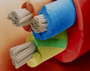 Coloured SEM of 3-core electric cable Coloured SEM of 3-core electric cable