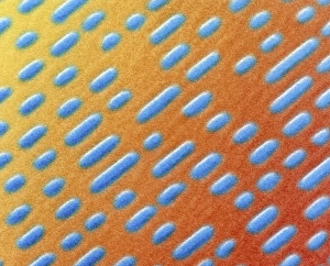 Coloured SEM of compact disc surface Coloured SEM of compact disc surface