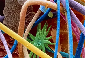 Coloured SEM of household dust (allergens) Coloured SEM of household dust (allergens)