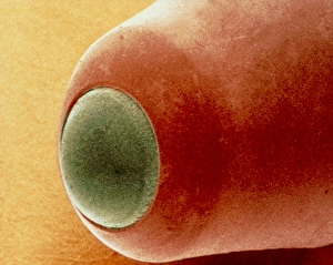 Coloured SEM of the nib of a ball point pen Coloured SEM of the nib of a ball point pen