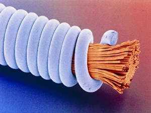 Coloured SEM Images Prints: Coloured SEM of superwound guitar string