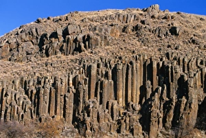 Extrusive Igneous Rocks Prints: Columnar basalt rock