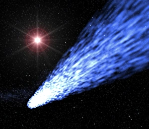 Solar System Formation Prints: Comet and Sun