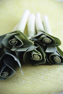 Prints of Common leeks (Allium porrum) Images Dated 2004 August: Common leek Print