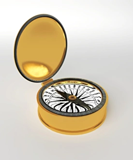 Earths Magnetic Field Prints: Compass