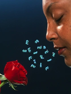 Composite image of a woman, rose & scent molecules Composite image of a woman, rose & scent molecules