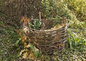 Images Dated 28th June 2006: Coppiced Hazel Compost Bin Print