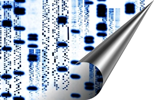 Computer artwork of DNA autoradiogram sequences Computer artwork of DNA autoradiogram sequences