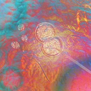 Computer artwork of DNA being manipulated Computer artwork of DNA being manipulated