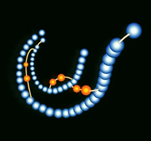 Computer artwork of the hormone insulin Computer artwork of the hormone insulin