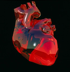Computer artwork of human heart, abstract colours Computer artwork of human heart, abstract colours