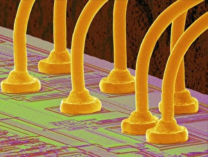 Scanning Electron Microscope Images Prints: Computer chip, SEM