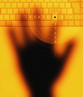 Computer Crime Prevention Prints: Computer crime