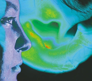 Computer-enhanced view of human face and ear pinna Computer-enhanced view of human face and ear pinna