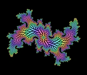 Images Dated 24th July 2003: Computer-generated Julia fractal Print