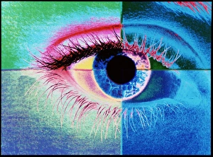Human Eye Anatomy Prints: Computer graphic image of a human eye