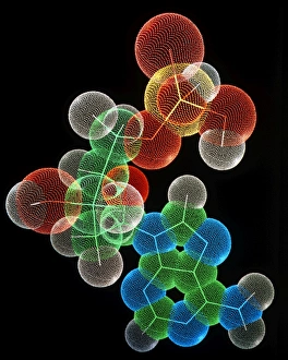 Computer graphic of a molecule of AMP Computer graphic of a molecule of AMP