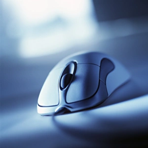 Computer Mouse Prints: Computer mouse