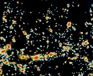 Computer simulation of galaxy formation Computer simulation of galaxy formation