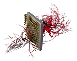 Computer Virus Concept Prints: Computer virus, conceptual artwork