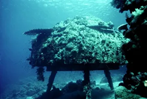 Red Sea Conshelf Two Print: Underwater Research Station at 10 Metres Depth